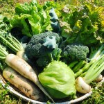 かすかべ協生農園のお野菜詰め合わせセット