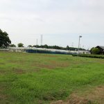 埼玉・春日部の農園で協生農法をご一緒にやりたい方を募集しています