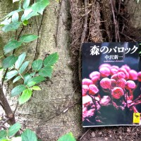 森のバロック①：南方マンダラの世界をのぞいてみる-無意識の集団記憶や共同幻想が生まれるメカニズム-