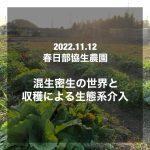 混生密生の曼荼羅と収穫による生態系への介入［協生農法実験記録17］